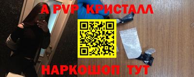 гашик Волжский