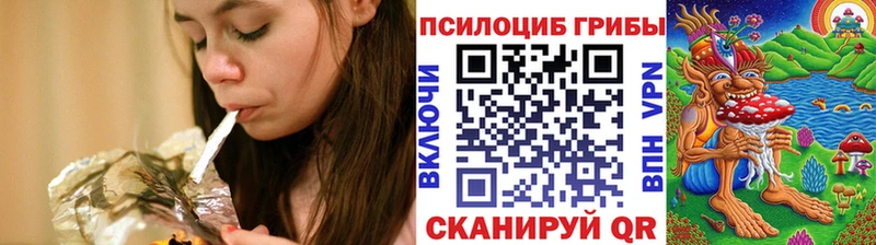 Псилоцибиновые грибы прущие грибы Дубна