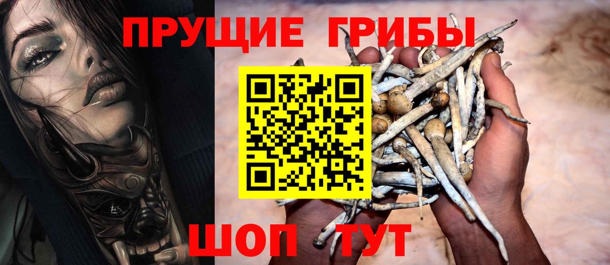 Галлюциногенные грибы Psilocybe Дубна