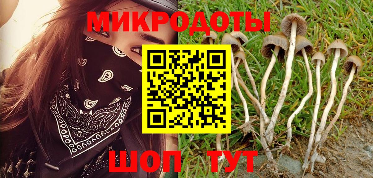 Псилоцибиновые грибы ЛСД  Вход с VPN  Галлюциногенные грибы Psilocybine cubensis  Дубна 